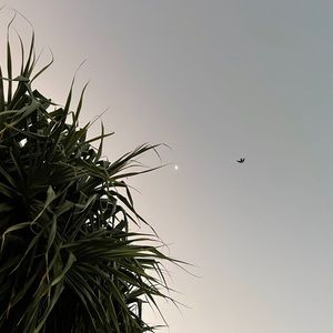 Meet your Posher, Paige